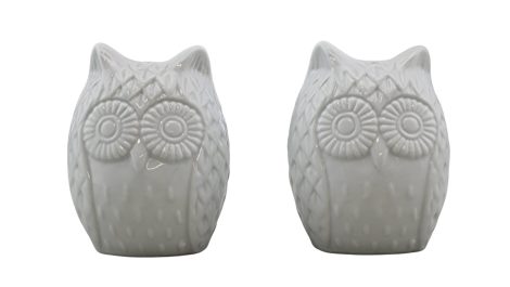 Cute Owl Ceramic Salt & Pepper Set for Indian homes – perfect housewarming gift!