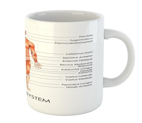 Ambesonne Human Anatomy Mug: Vibrant ceramic mug with a Muscle System Diagram, perfect for tea or water.