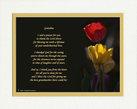 Special gift for Nana: Grandma’s Blessings – A heartfelt thank you for the best grandma with a vibrant tulip photograph. Perfect for Christmas or birthdays.